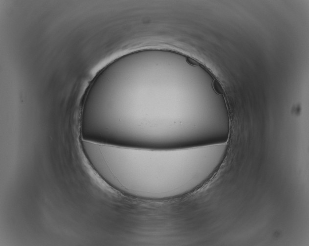 X0000090981526200708021131