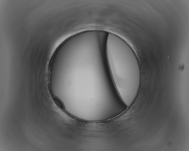 X0000090981527200708021131