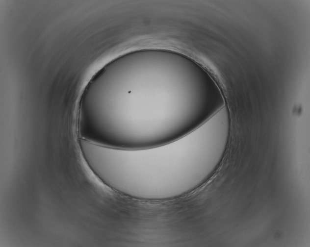 X0000090981528200708021131