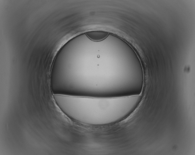 X0000090981529200708021131