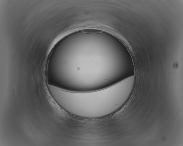 X0000090981530200708021131