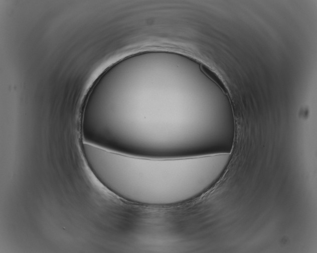 X0000090981531200708021131