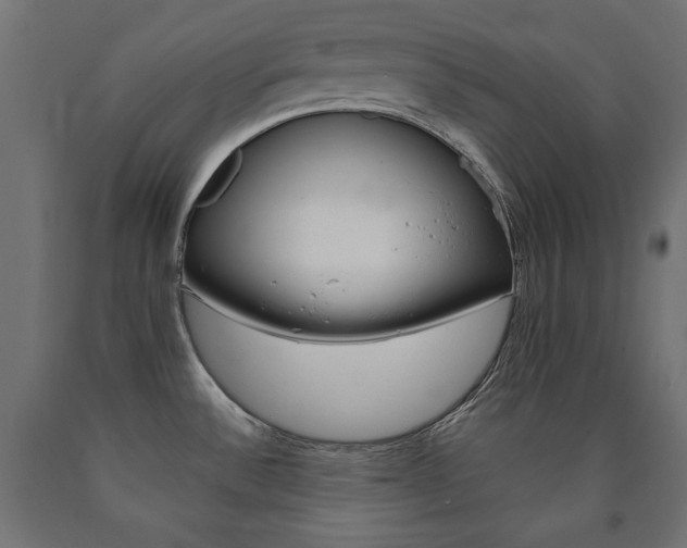 X0000090981532200708021131