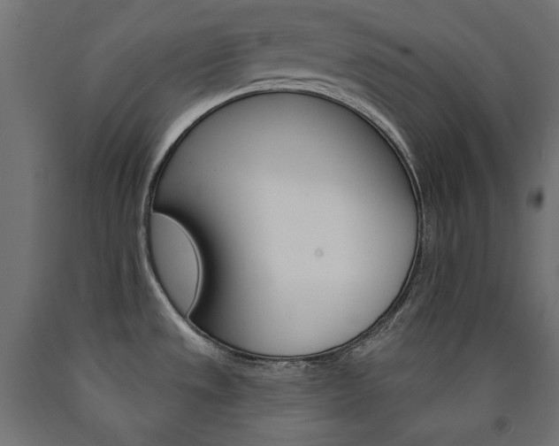X0000090981533200708021131
