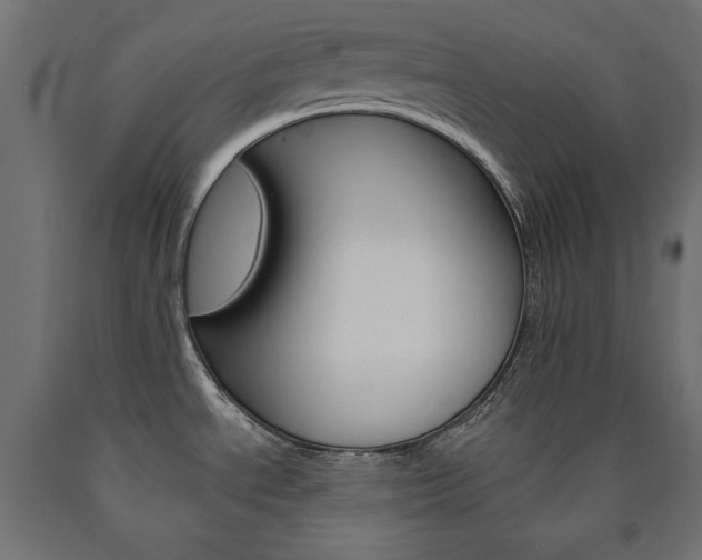 X0000090981534200708021131