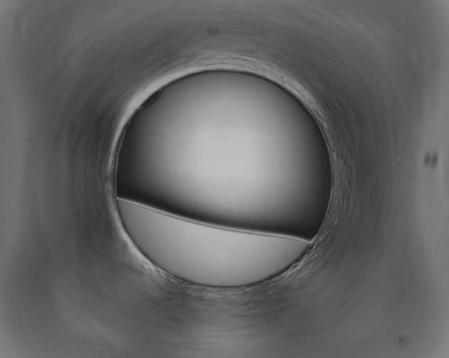 X0000090981536200708021131