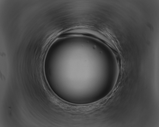 X0000090980001200708021508