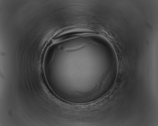 X0000090980002200708021508