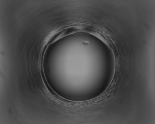 X0000090980003200708021508