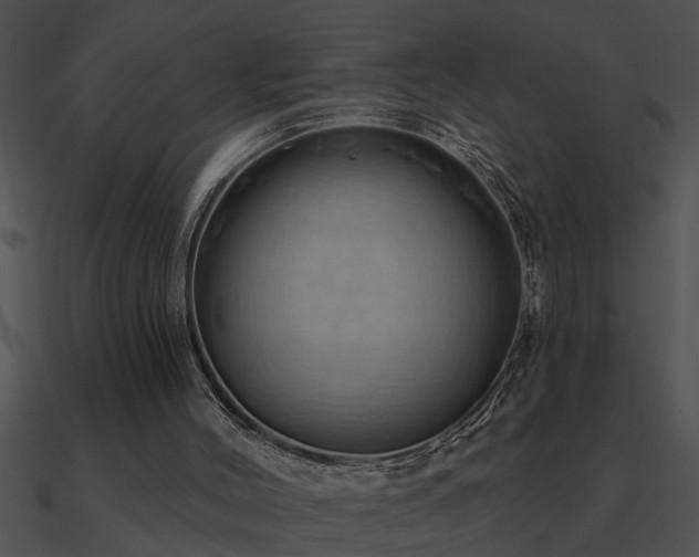 X0000090980004200708021508