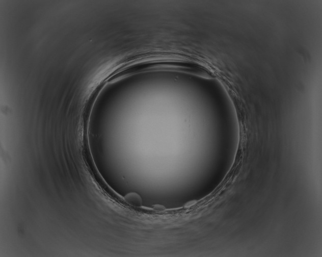 X0000090980005200708021508