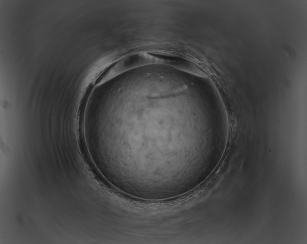 X0000090980006200708021508