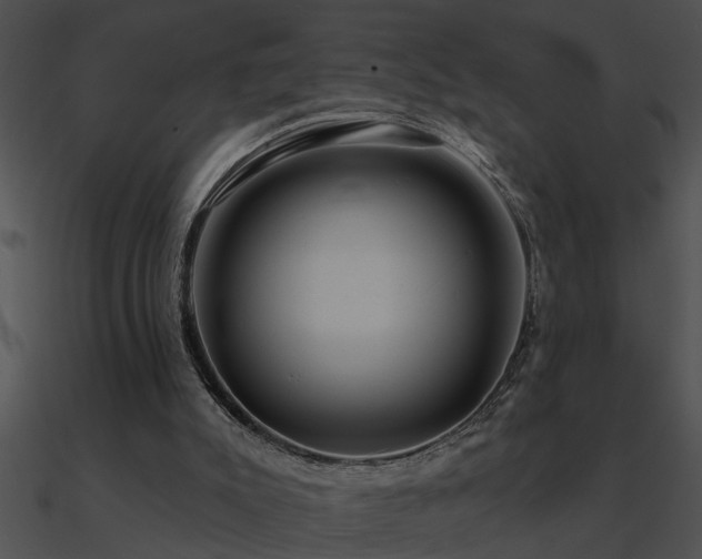 X0000090980007200708021508