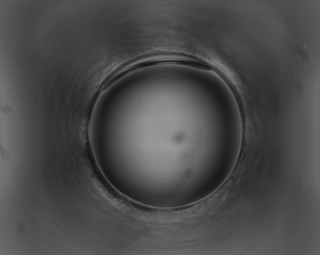 X0000090980009200708021508