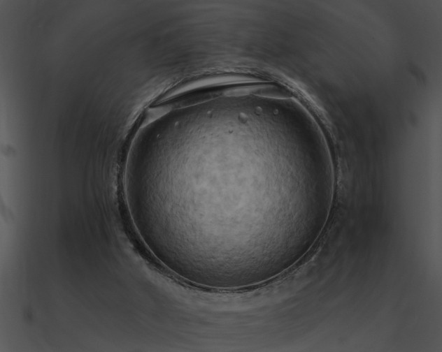 X0000090980010200708021508