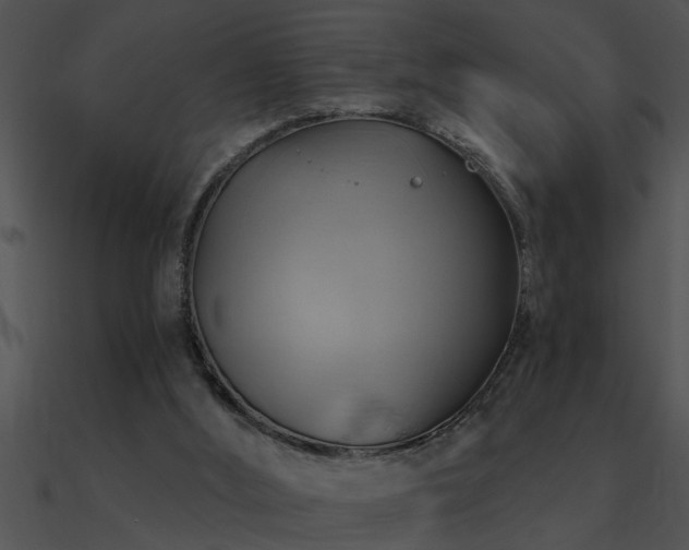 X0000090980012200708021508