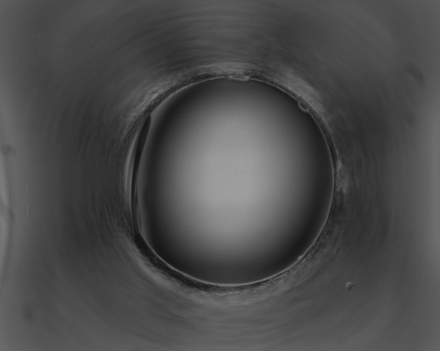 X0000090980013200708021508