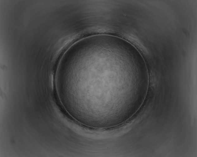 X0000090980014200708021508