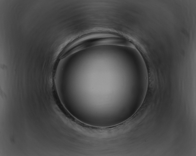 X0000090980015200708021508