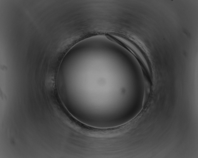 X0000090980017200708021508