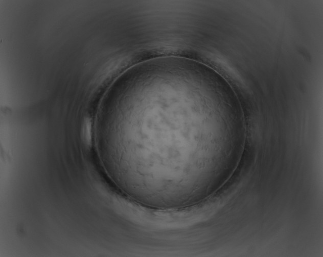 X0000090980022200708021508