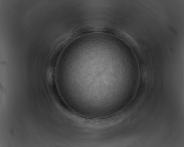 X0000090980026200708021508