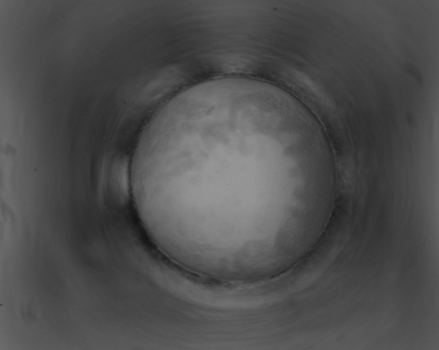 X0000090980028200708021508