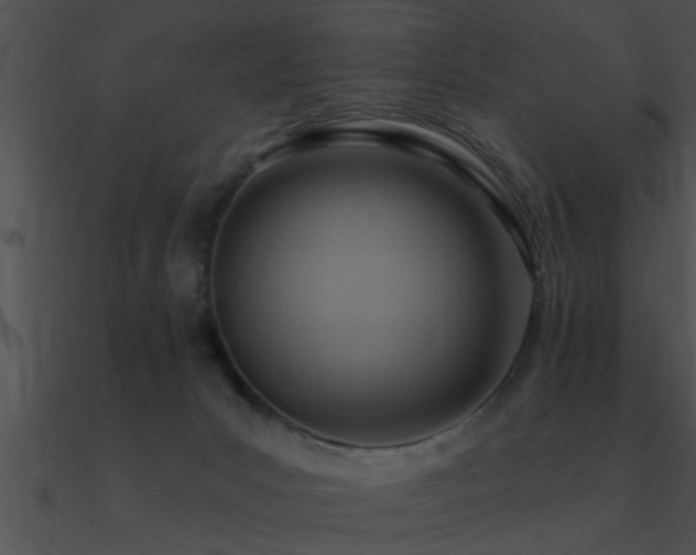 X0000090980031200708021508