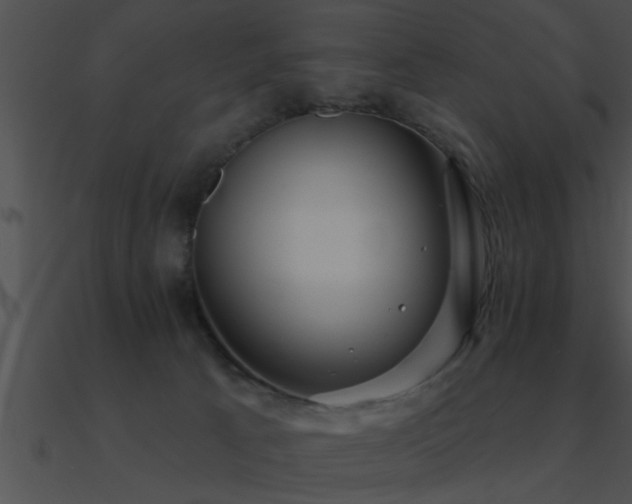 X0000090980033200708021508