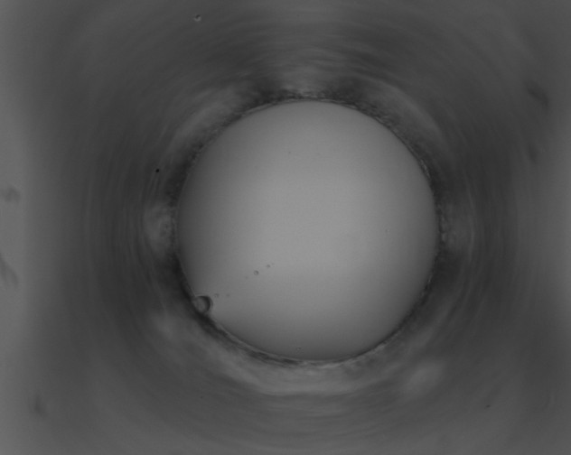 X0000090980036200708021508