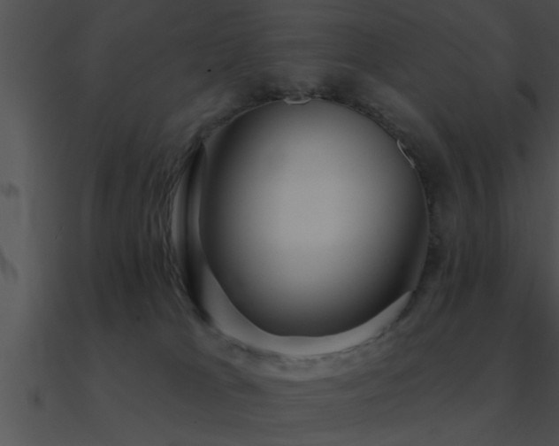 X0000090980037200708021508