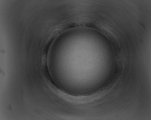 X0000090980038200708021508