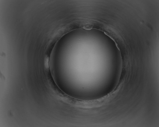 X0000090980041200708021508