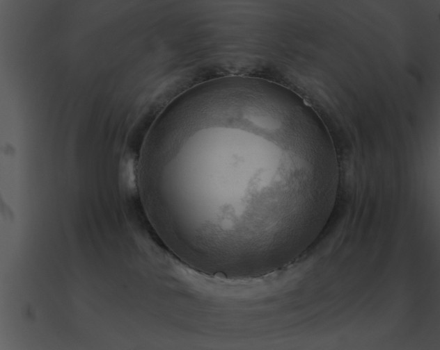 X0000090980042200708021508