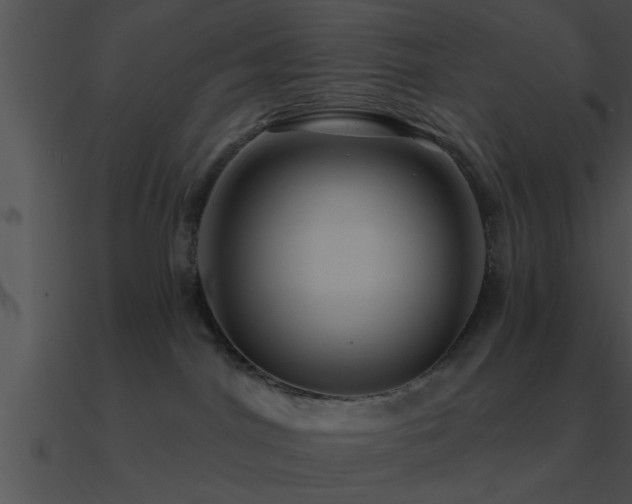 X0000090980044200708021508