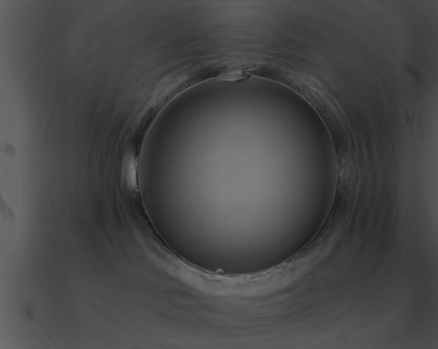 X0000090980046200708021508