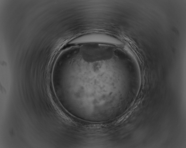 X0000090980049200708021507