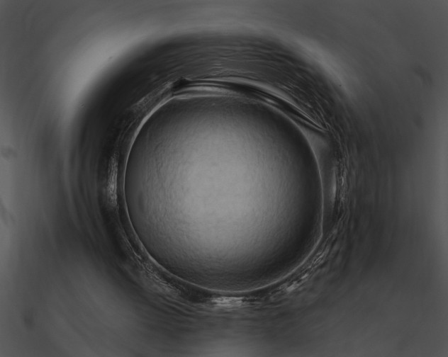 X0000090980052200708021507