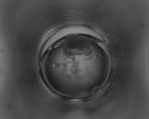 X0000090980053200708021507