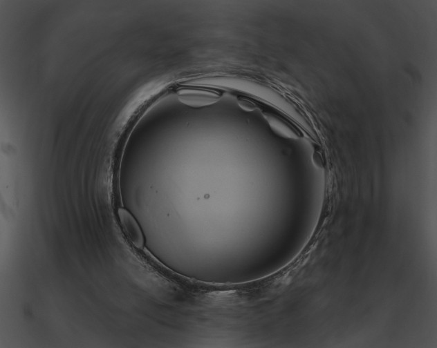 X0000090980054200708021507