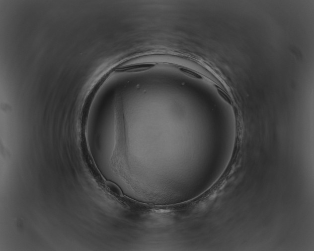 X0000090980055200708021507