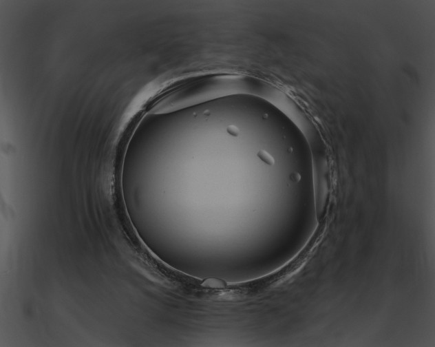 X0000090980056200708021507