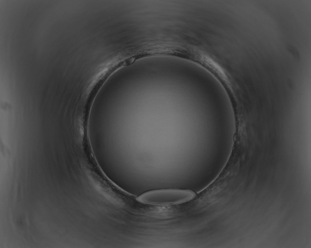 X0000090980059200708021507