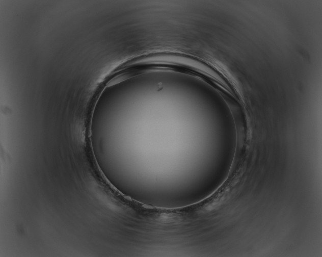 X0000090980060200708021507