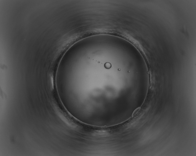 X0000090980061200708021507