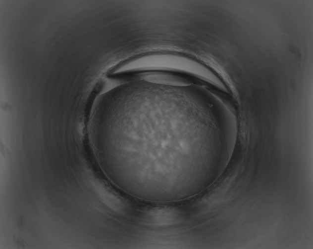 X0000090980063200708021507