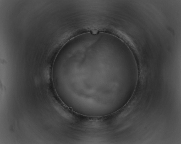 X0000090980065200708021507