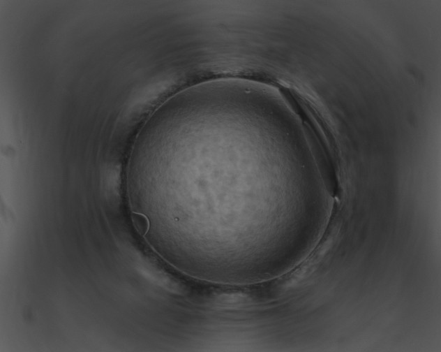 X0000090980066200708021507