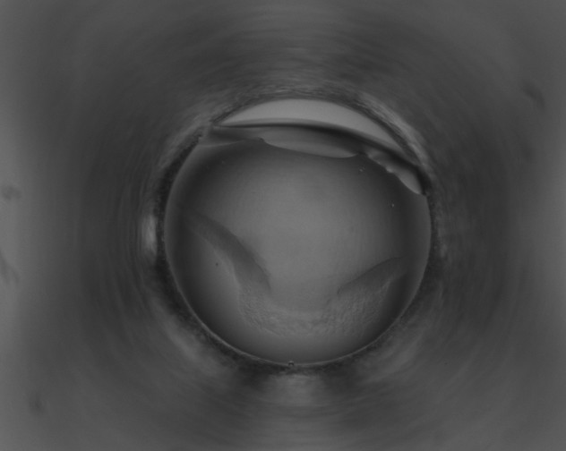 X0000090980067200708021507