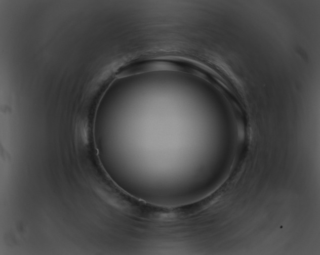 X0000090980068200708021507